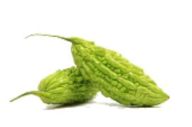 bitter melon resized