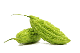 bitter melon resized