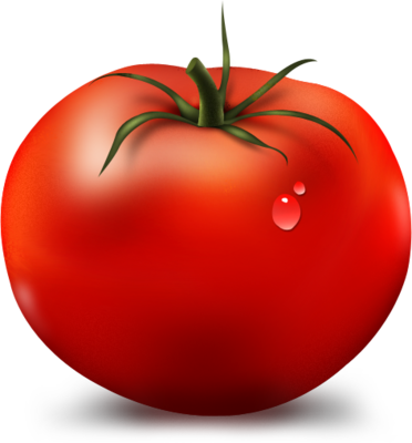 NicePng_tomato-slice-png_1531330