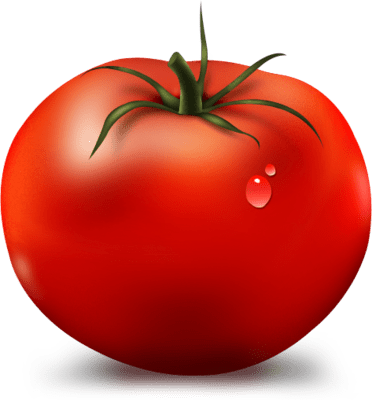 NicePng_tomato-slice-png_1531330